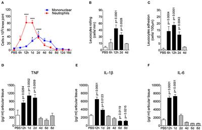 Sensory Ganglia-Specific TNF Expression Is Associated With Persistent Nociception After Resolution of Inflammation